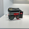 Rayban Erika